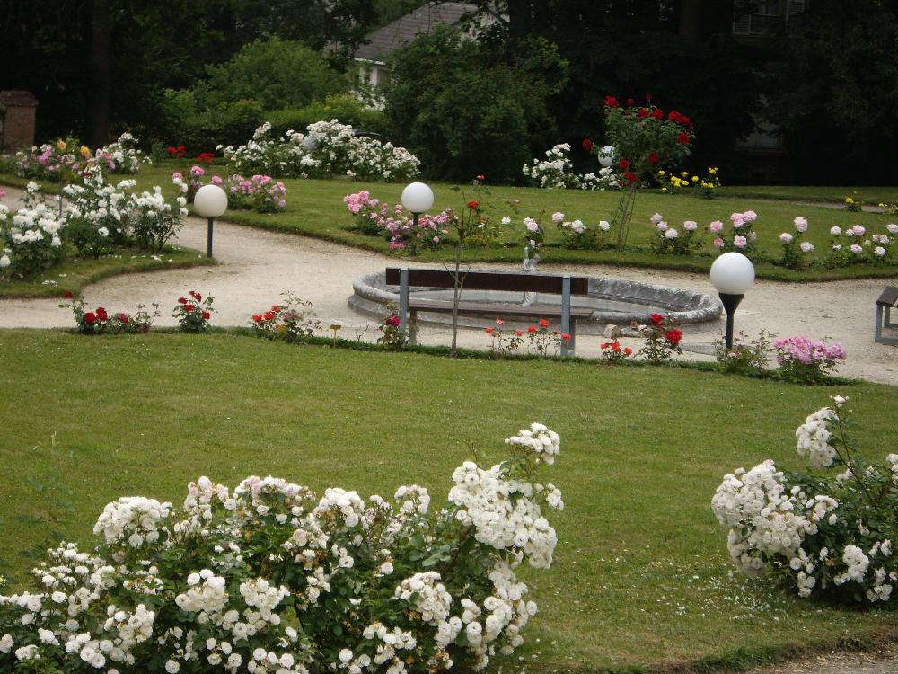 gazon jardin Val d'Oise (95) | Labat Paysages