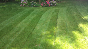 Jardinier 95